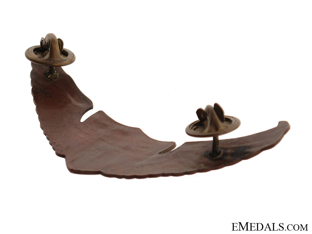 pre_ww2_old_mexican_pilot_wing_mex486c