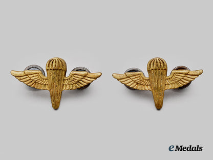 china,_republic._a_rare_air_force_commando_para_insignia_collar_pair,_c.1945__mnc6464_1