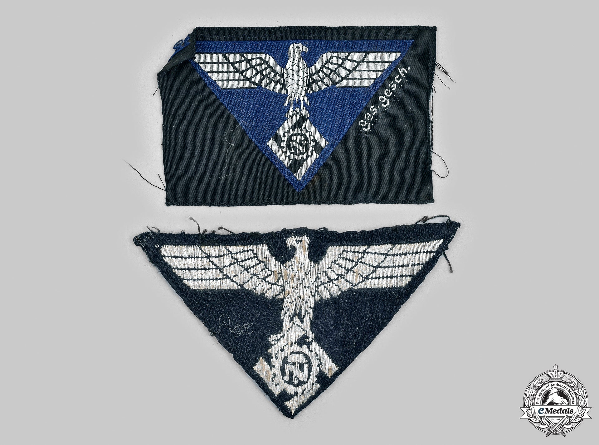 germany,_teno._a_pair_of_teno_uniform_insignia__mnc7391_m20_0415_1_1