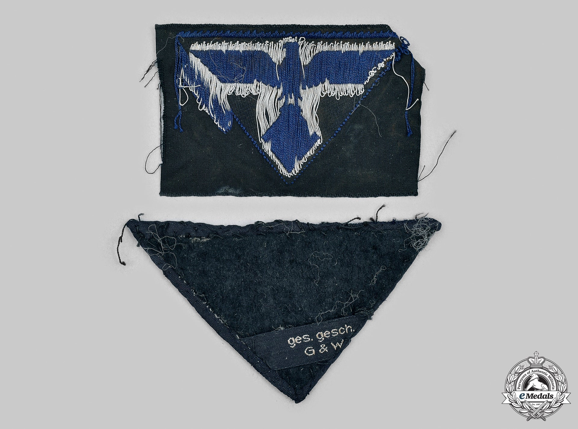germany,_teno._a_pair_of_teno_uniform_insignia__mnc7392_m20_0416_1_1