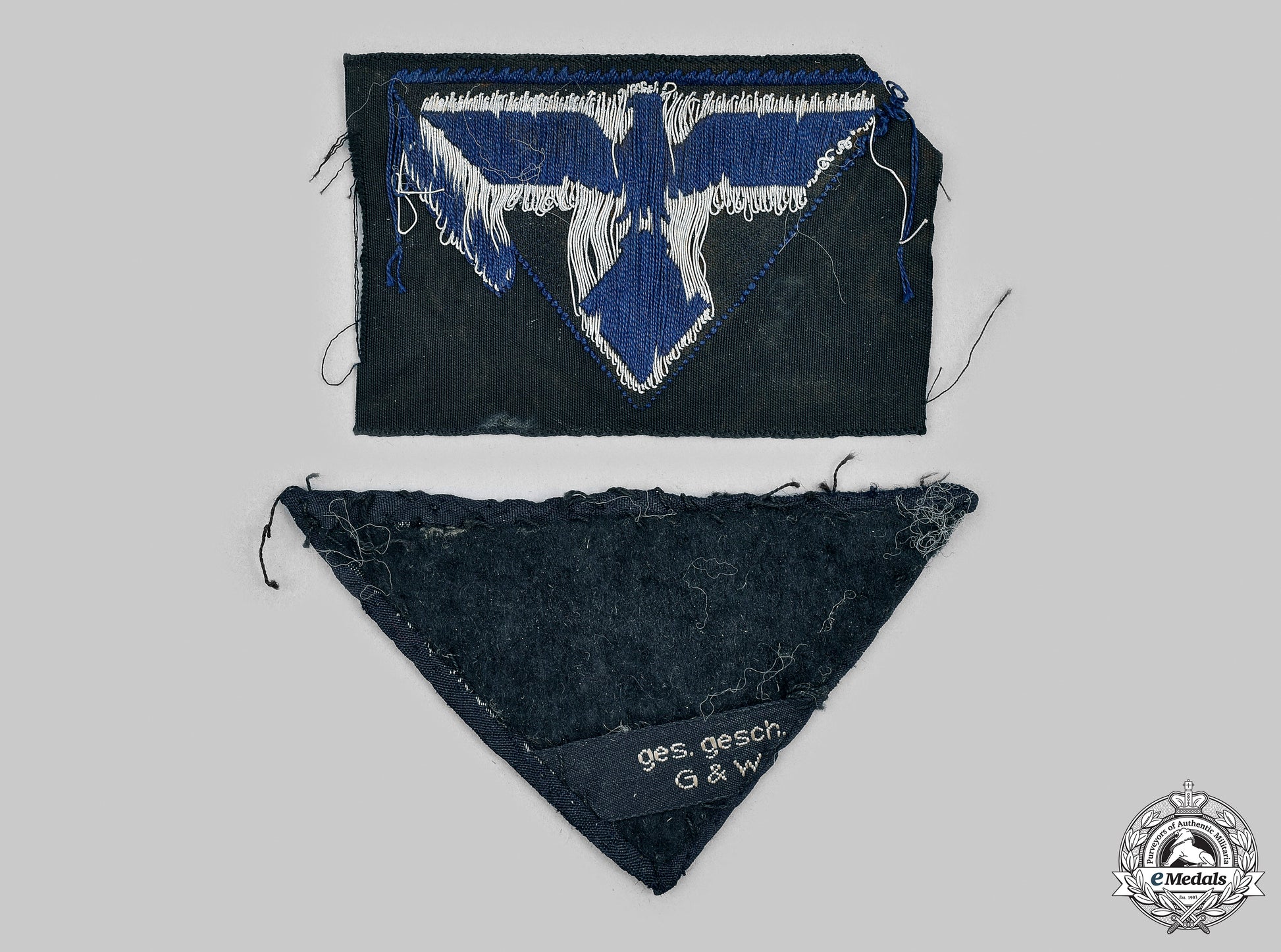 germany,_teno._a_pair_of_teno_uniform_insignia__mnc7392_m20_0416_1_1