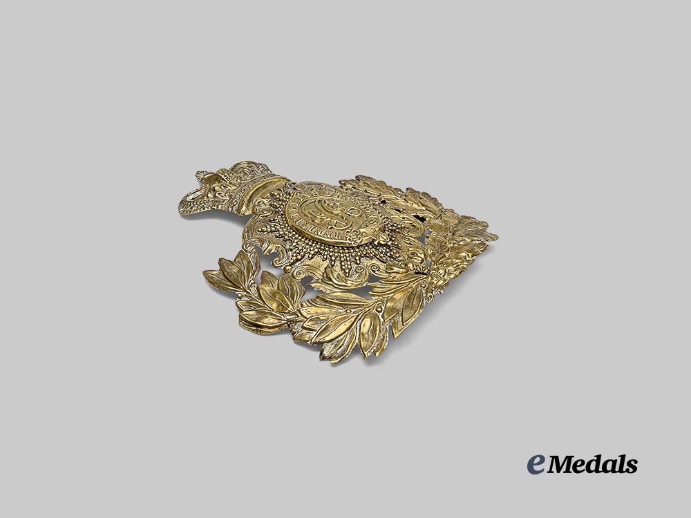 united_kingdom._an_early6th_inniskilling_dragoons_helmet_plate_e_medals__g_b8617_5