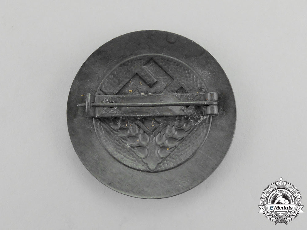 an_radwj(_national_labor_service_of_female_youths)“_arbeitsmaid”_rank_brooch_n_338_1