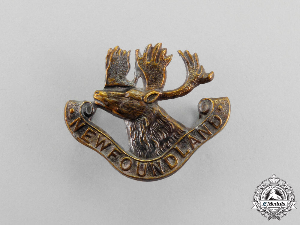 a_first_war_royal_newfoundland_regiment_collar_badge_n_558_1