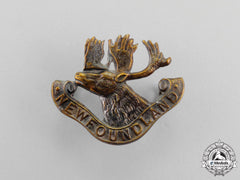 A First War Royal Newfoundland Regiment Collar Badge