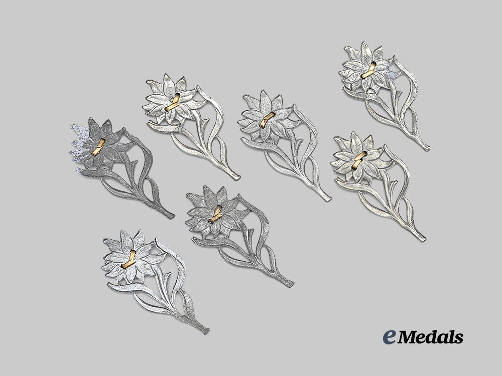germany,_s_a._a_lot_of_edelweiss_cap_insignia_for_s_a-_gruppe_hochland_e_medals__g62870_3