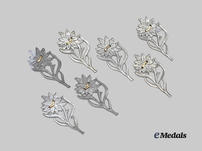germany,_s_a._a_lot_of_edelweiss_cap_insignia_for_s_a-_gruppe_hochland_e_medals__g62870_3