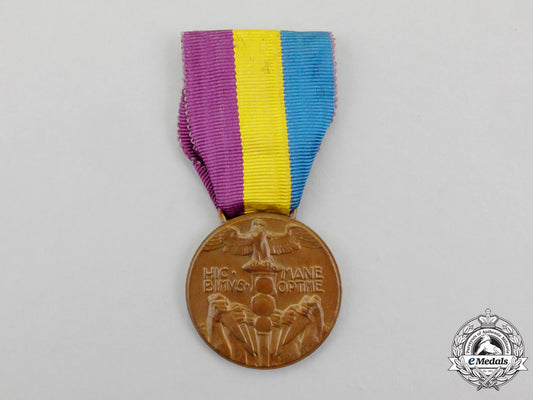 italy._a_liberation_and_occupation_of_fiume_medal1919_p_369_1