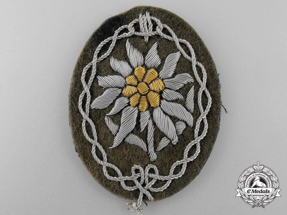 a_german_army_officer's_edelweiss_badge_q_876