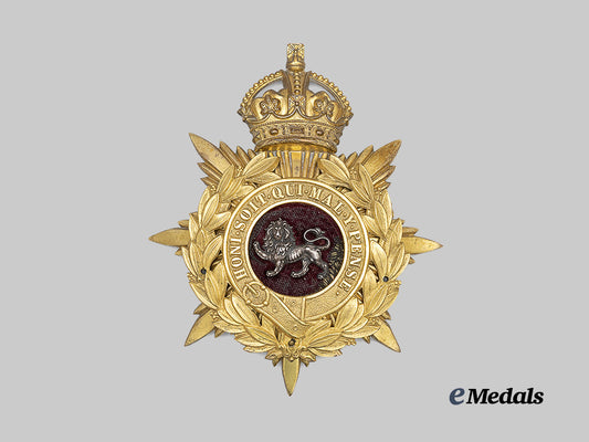 united_kingdom._a_king's_liverpool_officer's_helmet_plate,_c.1905_e_medals__g_b8643_2