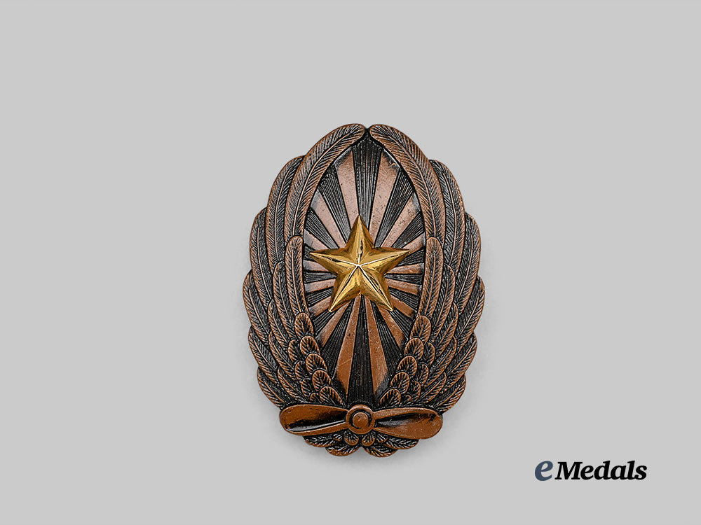 japan,_empire._an_officer_pilot_badge,_museum_example_e_medals__m0332-43_2