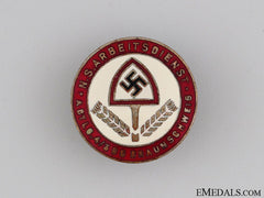 Rad Abteilung 4/305 In Brunswick Staff Badge