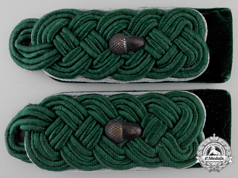 a_forstmeister_of_the_general_state_forestry_service_insignia_set_s0308517_3_