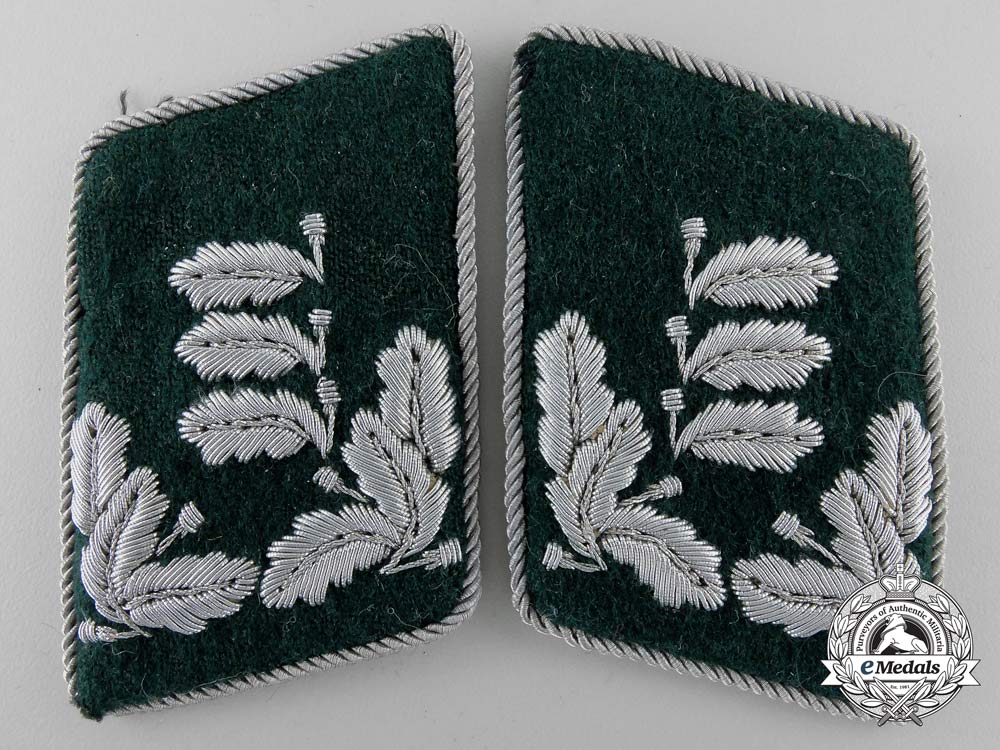 a_forstmeister_of_the_general_state_forestry_service_insignia_set_s0368523_3_