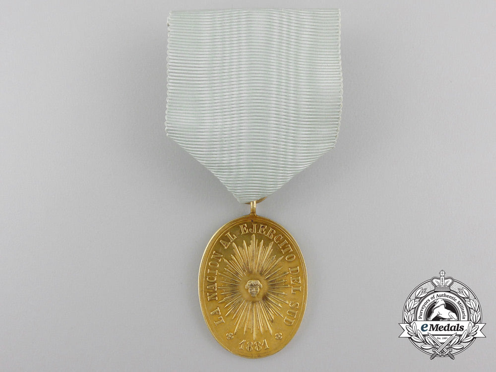 an1878-81_rio_negro_and_patagonia_campaign_medal_in_gold_s0681937