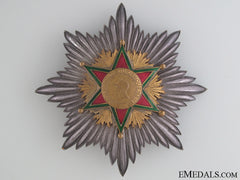 Society For Devotion To Service Breast Star