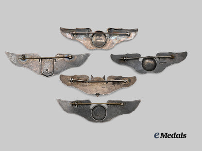 united_states._a_lot_of_five_second_war_wings_e_medals__m0706-25_5