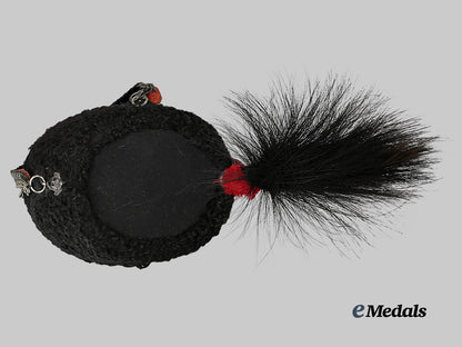 canada._a_queen’s_own_rifles_busby_with_plume_and_metal_case_e_medals__m0432-254_10