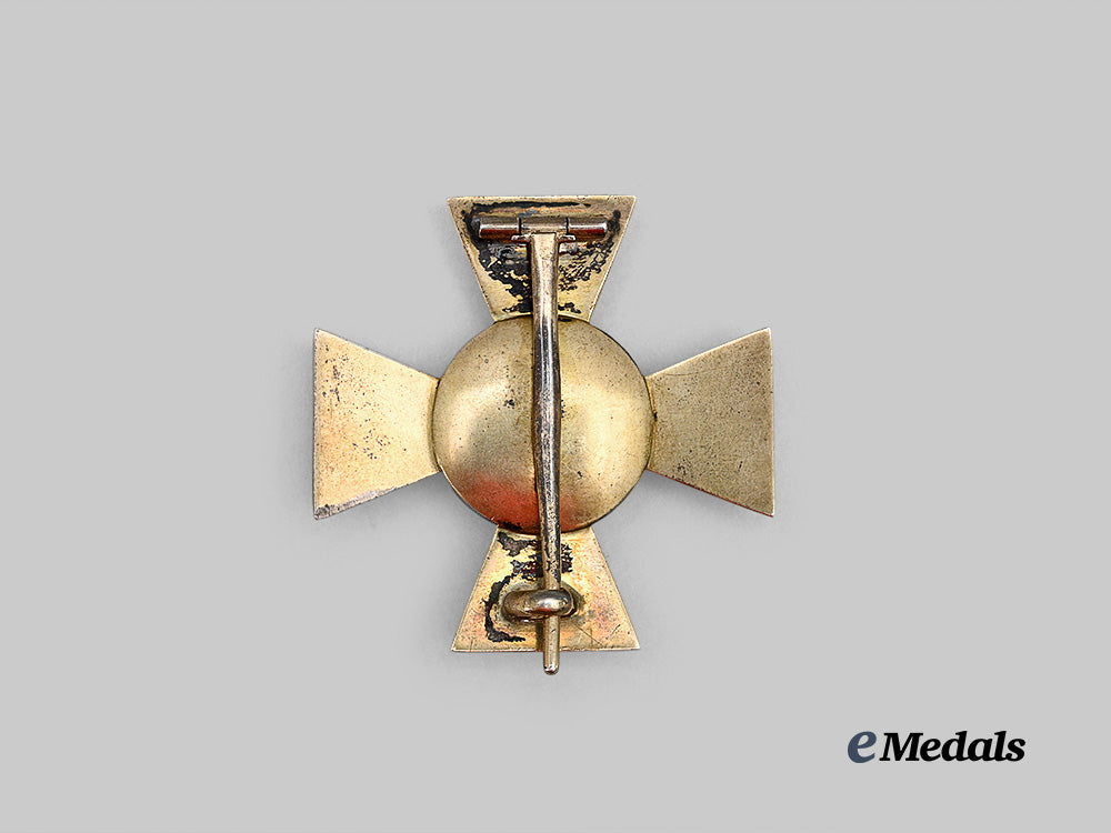 oldenburg,_grand_duchy._a_house_and_merit_order_of_peter_friedrich_ludwig,_officer’s_cross_e_medals__g62931_3