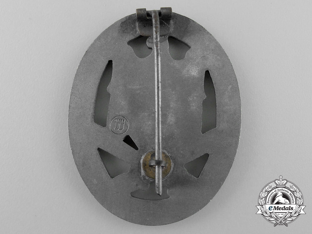 a_general_assault_badge_by_ferdinand_wiedmann_t_170