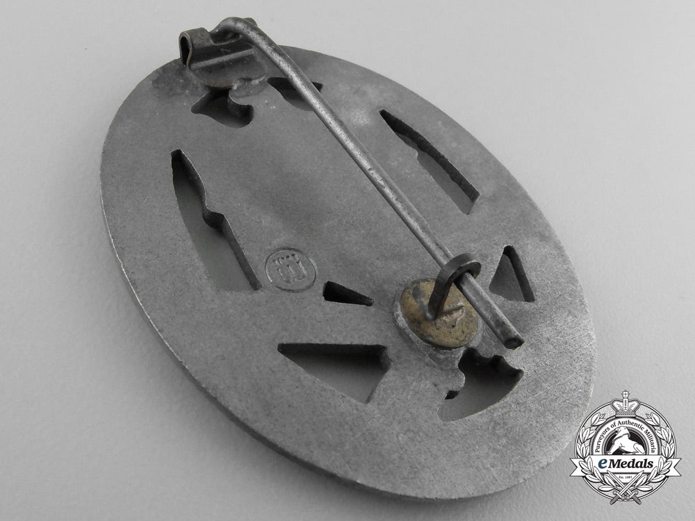 a_general_assault_badge_by_ferdinand_wiedmann_t_172