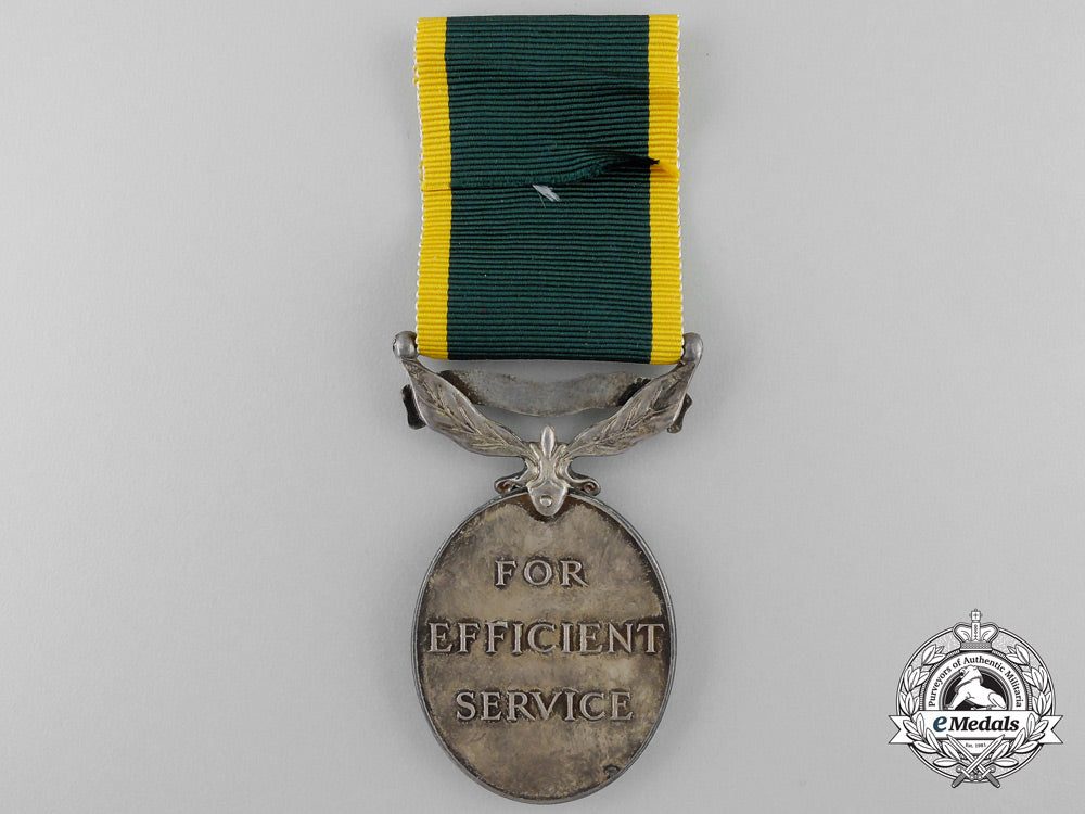 an_efficiency_medal_to_the_royal_canadian_artillery_t_598