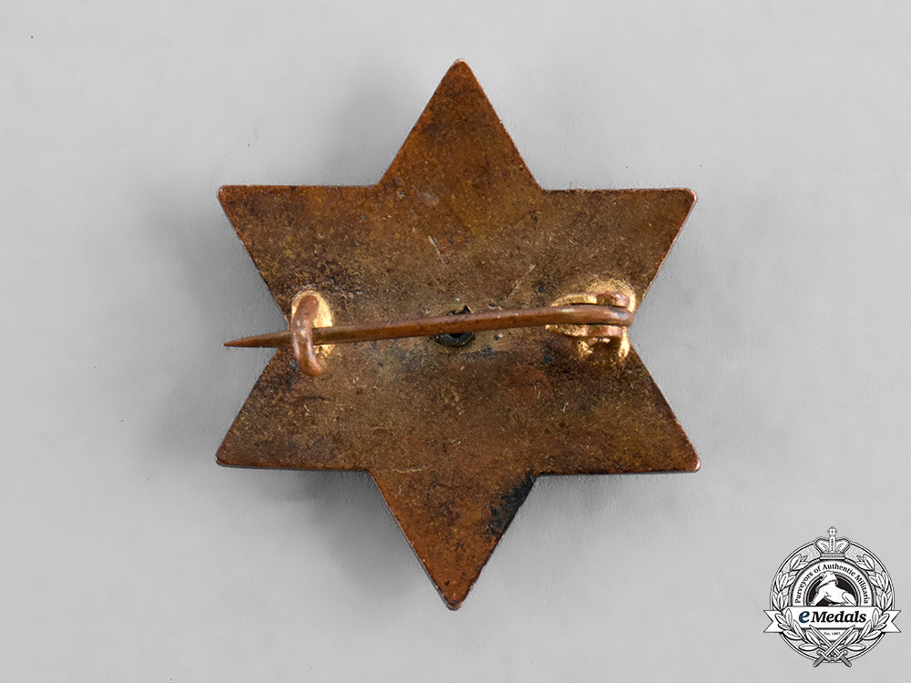 germany,_imperial._a_german_hebrew_patriotic_pin_tray93_lo_045