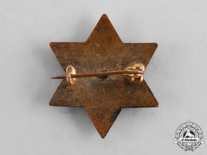 germany,_imperial._a_german_hebrew_patriotic_pin_tray93_lo_045