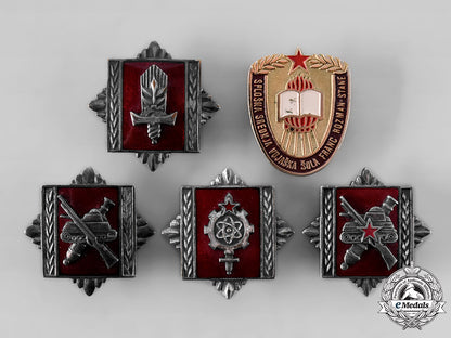 yugoslavia,_socialist_federal_republic._a_lot_of_military_academy_graduation_badges_tst_22_lo_001