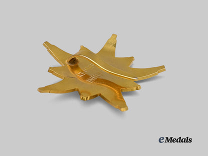 indonesia,_republic._a_star_of_the_republic_of_indonesia,_i_i_class_set_in_case_e_medals__m0332-36_12