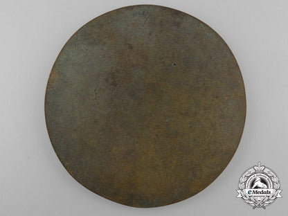 a_stahlhelm_wehrsport_medal_u_197