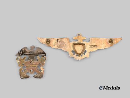 united_states._a_naval_aviation_pilots_wings_and_u_s_navy_officer’s_insignia_e_medals__w8484_6