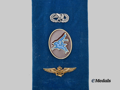 united_states._a_display_band_of_forty_one_second_war_american_wings_and_insignia_e_medals__m0432-259_9