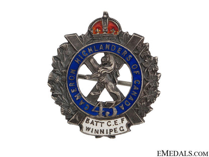wwi43_rd_infantry_battalion_pin_cef_wwi_43rd_infantr_51c9d129793b0