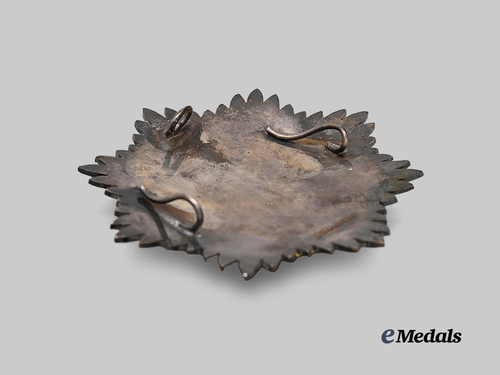 united_states._an_order_of_the_crown_of_charlemagne,_breast_star_e_medals__e_u24377_5