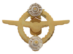 Para Instructor’s Badge