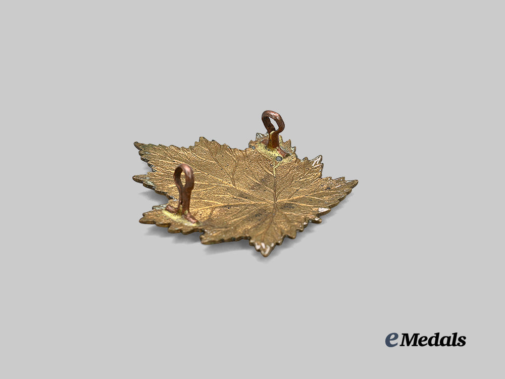 canada,_c_e_f._a4th_battalion‘_central_ontario’_cap_badge_e_medals__c7536_4