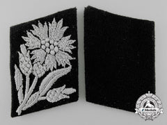 A Set Of Waffen-Ss Tabs For 22 Ss Freiwilligen Kavallerie